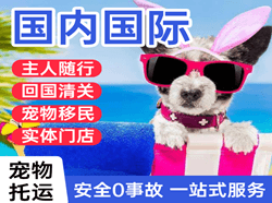 丹霞航空运输国际宠物托运 【国
